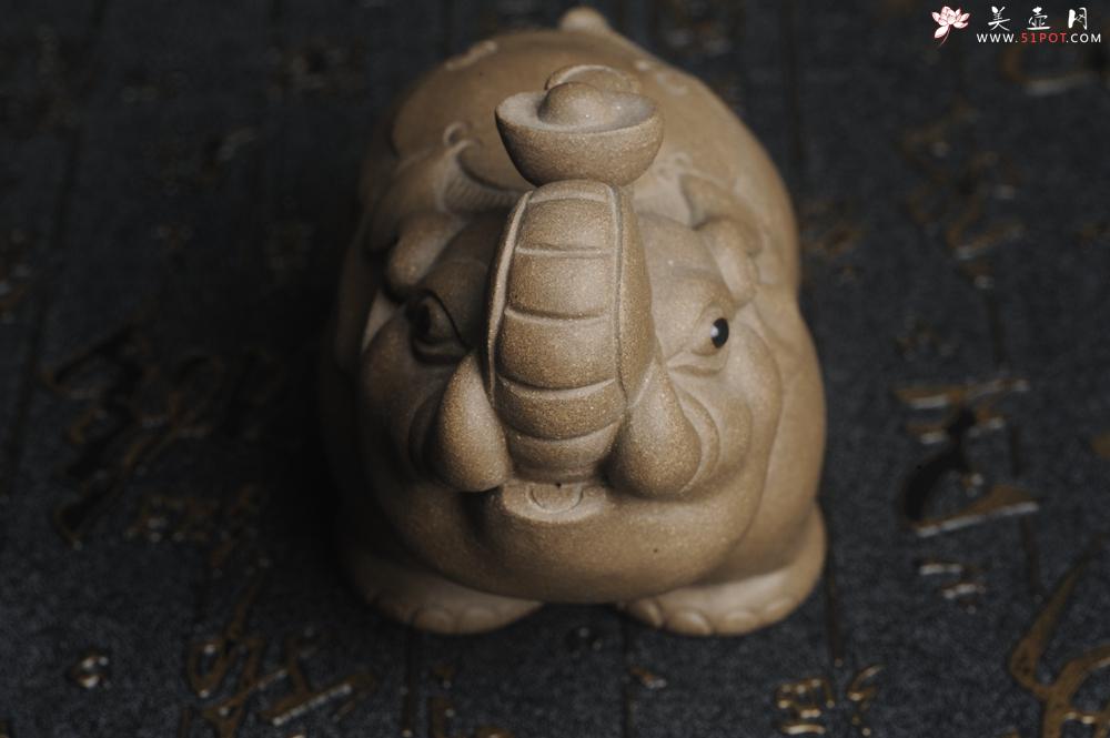 紫砂壶图片:美宠特惠 回馈壶友 精工太平有象茶宠 长11cm宽6cm高7cm - 美壶网