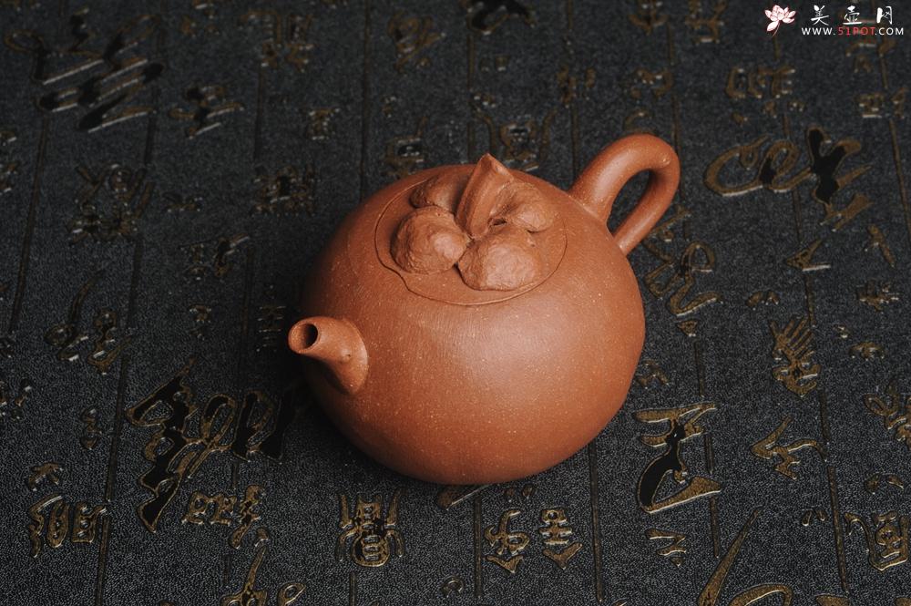 紫砂壶图片：美壶特惠 精致卡盖全手工油润降坡泥仿生小花货 山竹 - 美壶网
