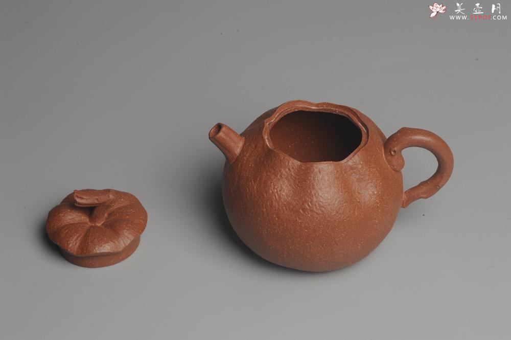 紫砂壶图片：美壶特惠 油润降坡泥精致卡盖全手工仿生丑橘壶 - 美壶网