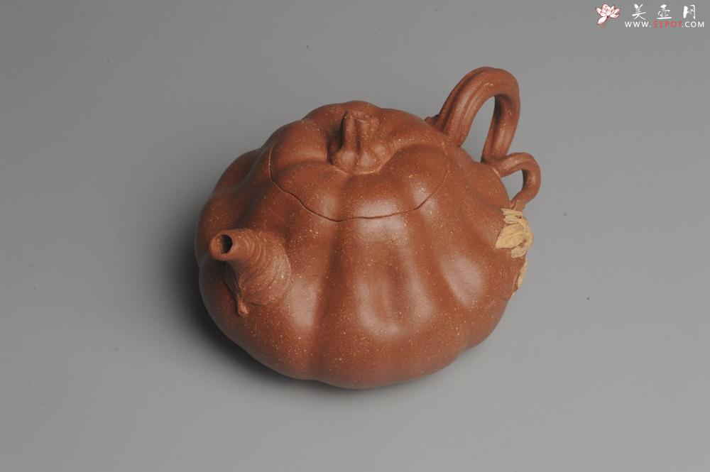 紫砂壶图片：美壶特惠 油润降坡泥精致卡盖全手工仿生小南瓜 - 美壶网