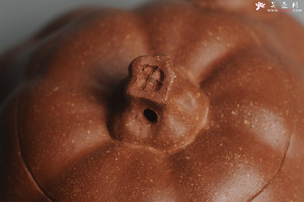 紫砂壶图片：美壶特惠 油润降坡泥精致卡盖全手工仿生小南瓜 - 美壶网