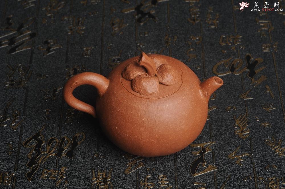 紫砂壶图片：美壶特惠 精致卡盖全手工油润降坡泥仿生小花货 山竹 - 美壶网