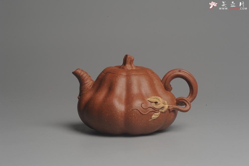 紫砂壶图片：美壶特惠 油润降坡泥精致卡盖全手工仿生小南瓜 - 美壶网