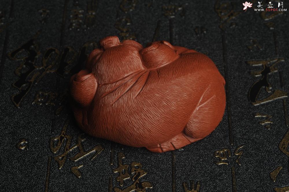 紫砂壶图片：美宠特惠 优质清水泥精致手工茶宠 一团和气招财猪 长7cm宽5cm高3.5cm - 美壶网