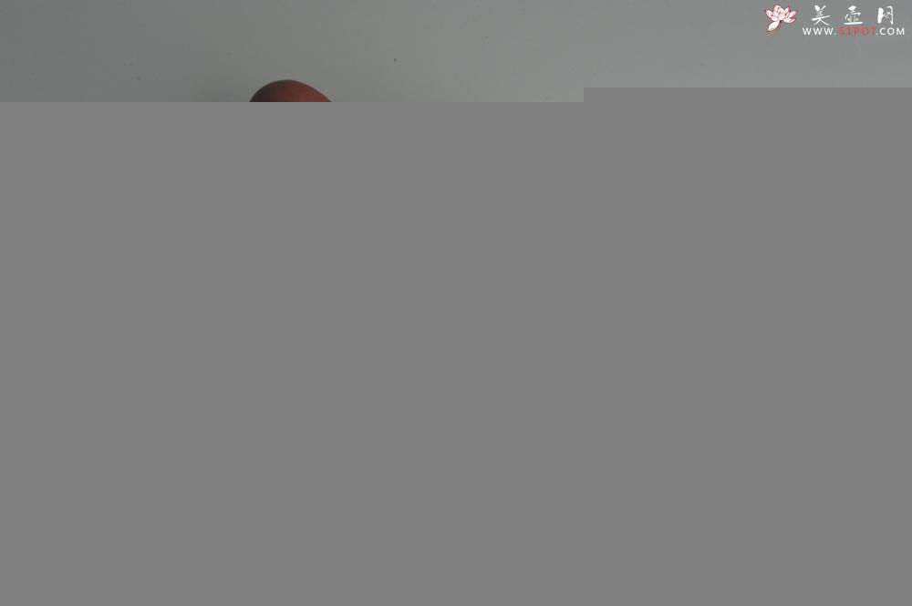 紫砂壶图片：油润底曹青 全手工寿珍仿古 深得老味 做工特好 - 美壶网