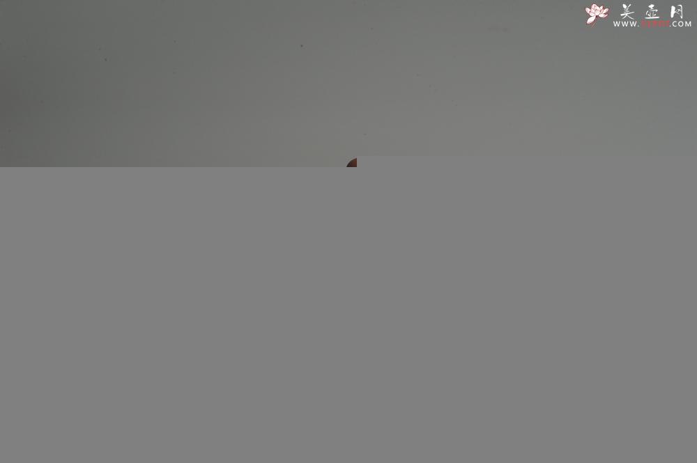 紫砂壶图片：油润底曹青 全手工寿珍仿古 深得老味 做工特好 - 美壶网