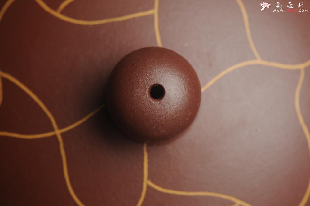 紫砂壶图片：美壶特惠 精工冰纹西施 茶人醉爱 - 美壶网