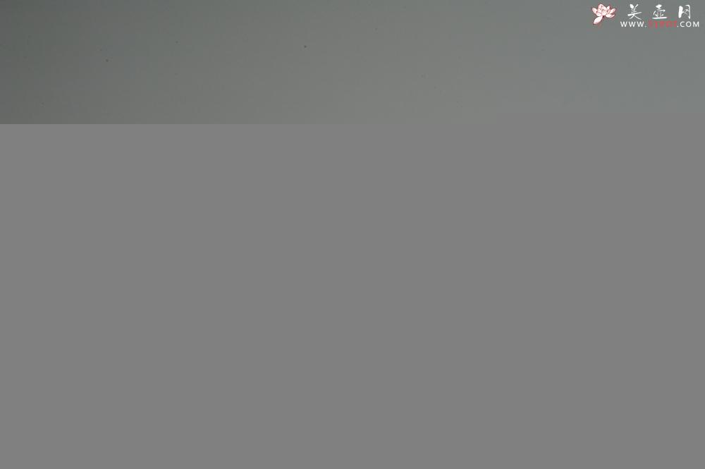 紫砂壶图片：油润底曹青 全手工寿珍仿古 深得老味 做工特好 - 美壶网