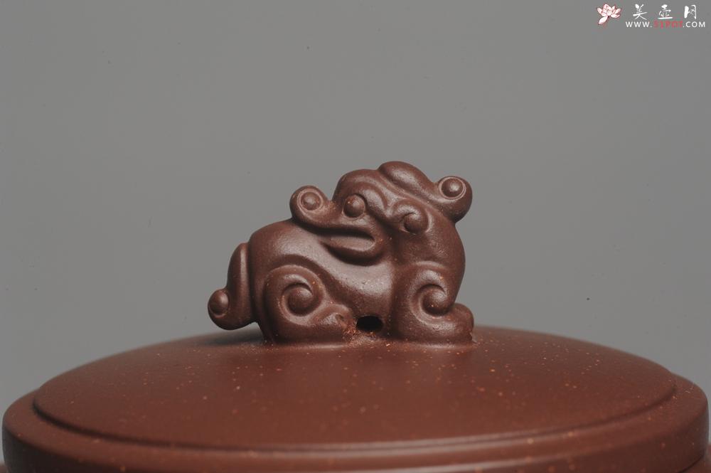 紫砂壶图片：美壶特惠 精工祥瑞壶 出水如柱 - 美壶网