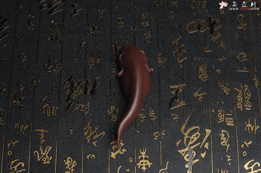 紫砂壶图片:美宠特惠 年年有余鱼 神态细腻 做工灰常精致 手工茶宠摆件长:12.5cm左右,最宽度为:3.7cm - 美壶网