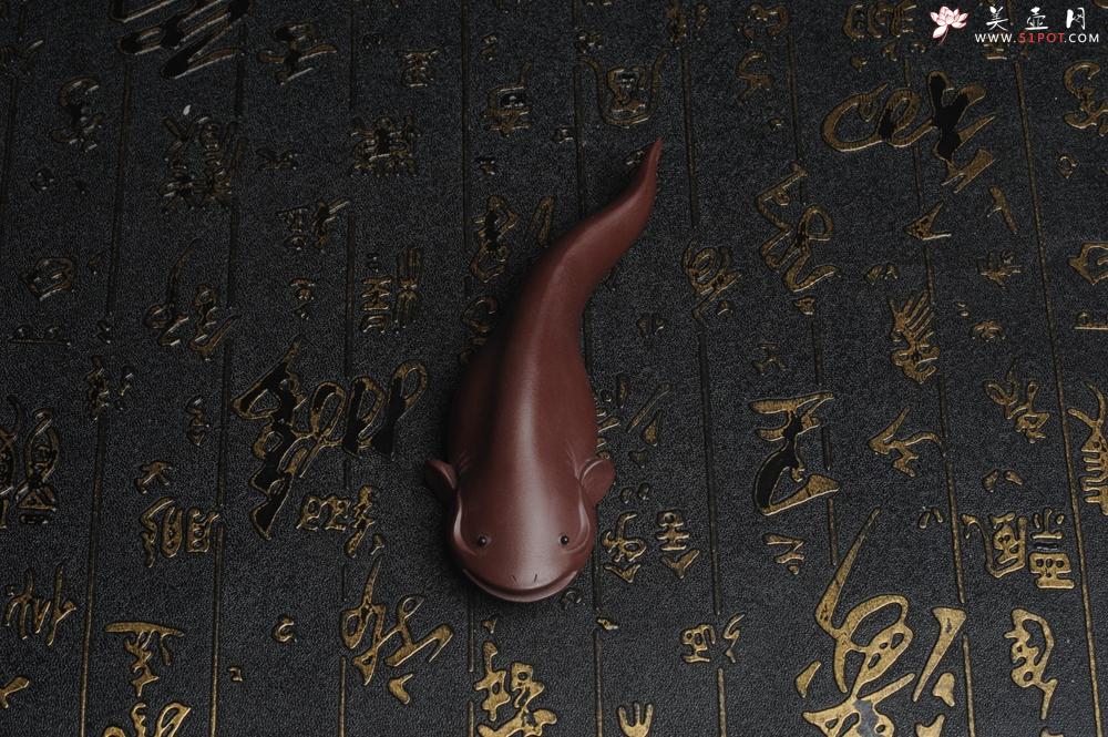 紫砂壶图片:美宠特惠 年年有余鱼 神态细腻 做工灰常精致 手工茶宠摆件长:12.5cm左右,最宽度为:3.7cm - 美壶网