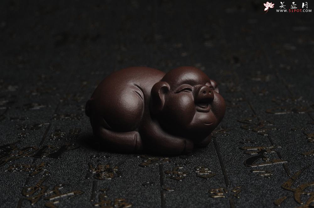 紫砂壶图片：美宠特惠 精工好料福气猪茶宠摆件 灰常可爱 长6.3cm高3.5cm - 美壶网
