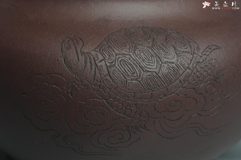 紫砂壶图片：美壶特惠 潜力股助工精工老紫泥掇只 龟寿图 - 美壶网