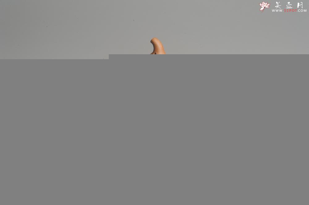 紫砂壶图片：美壶特惠 特好降坡泥精工葫芦壶(福禄) 灰常文气 - 美壶网