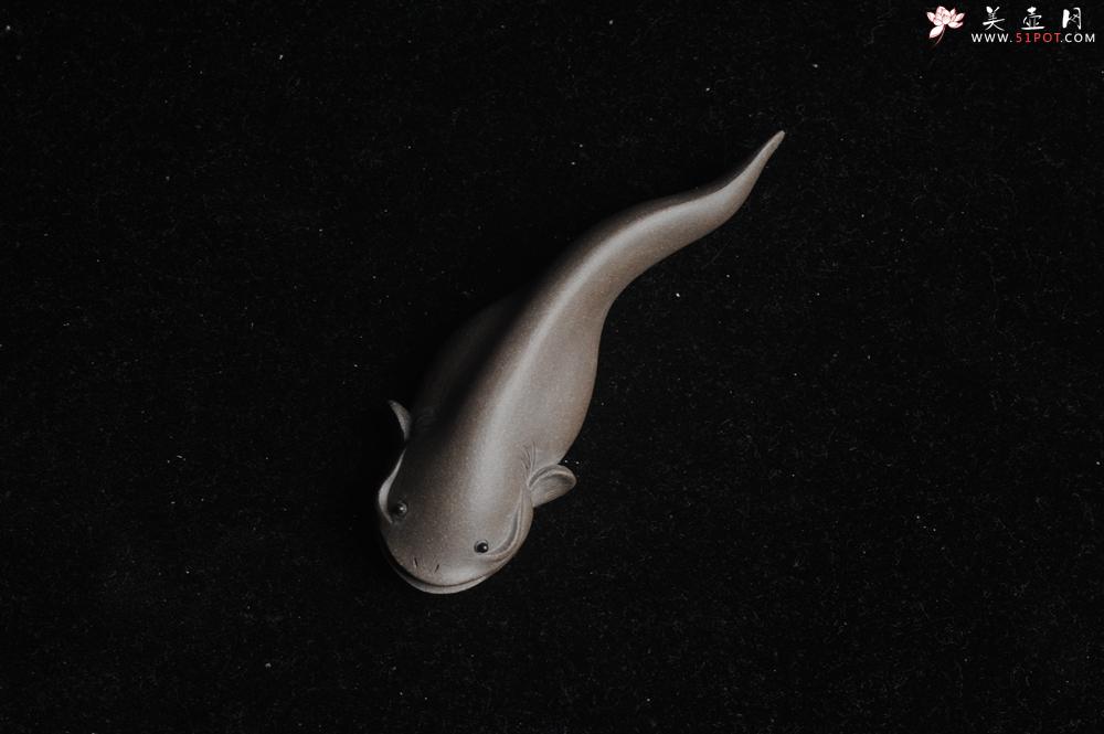 紫砂壶图片：美宠特惠小号年年有余鱼 神态细腻 做工精致 手工茶宠摆件长9.5cm最宽度2.7cm高1.7cm - 美壶网