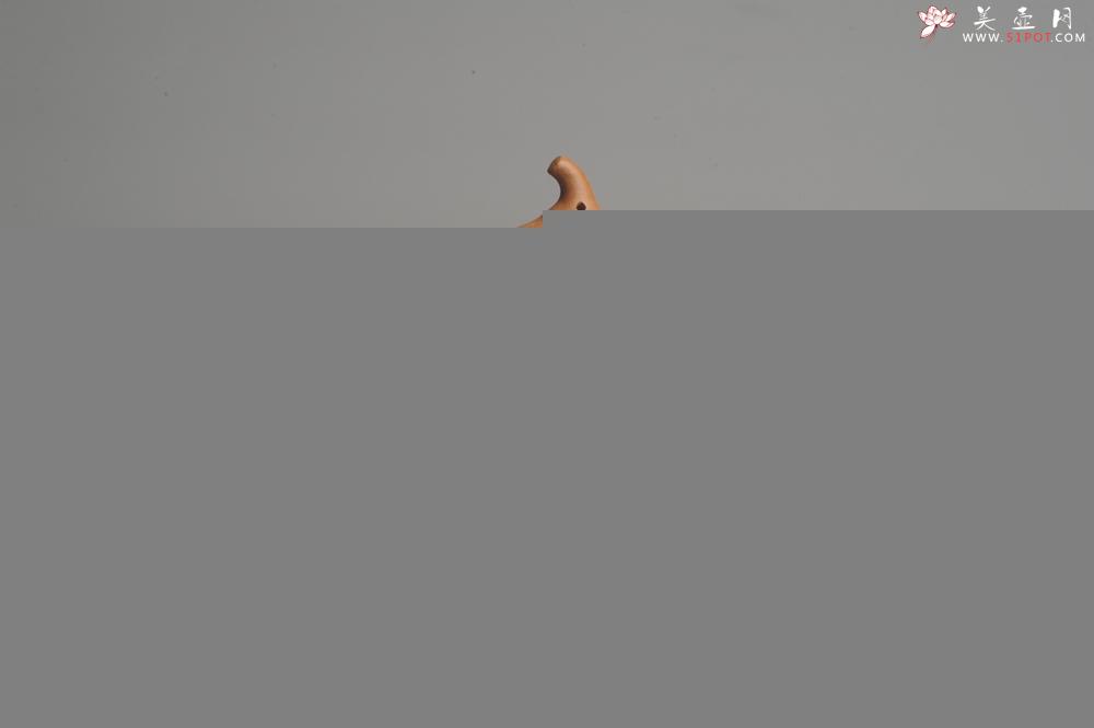 紫砂壶图片：美壶特惠 特好降坡泥精工葫芦壶(福禄) 灰常文气 - 美壶网