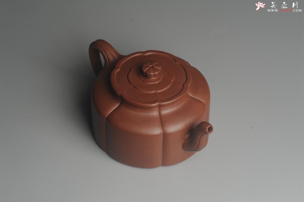 紫砂壶图片:实力派张海艳手工压制成型精工梅花周盘壶 气势磅礴 - 美壶网