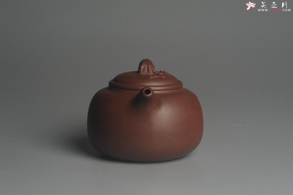 紫砂壶图片：紫砂届公认实力派全手工寒香 耐品 收藏佳品 - 美壶网