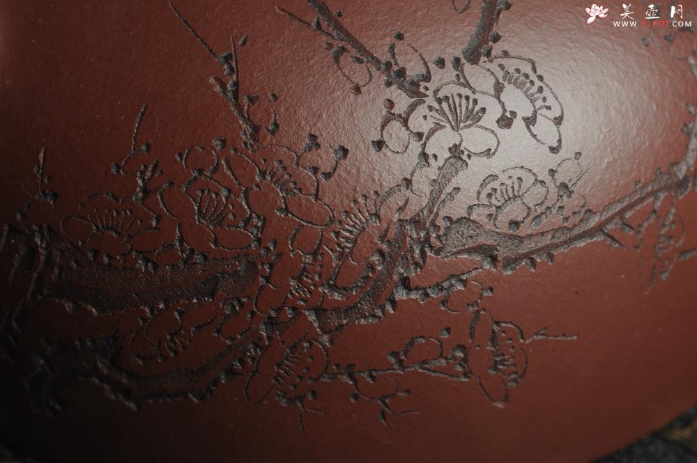 紫砂壶图片：油润底曹青 全手工半月 装饰梅花 特文气 - 美壶网