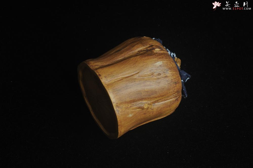 紫砂壶图片：特惠文气树桩茶叶罐 - 美壶网