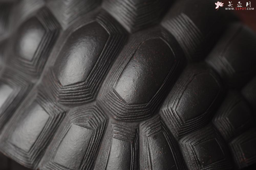 紫砂壶图片：美宠中秋特惠 精致黑料忍者寿龟 长14cm宽9.5cm高7cm - 美壶网