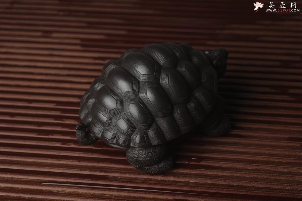 紫砂壶图片：美宠中秋特惠 精致黑料忍者寿龟 长14cm宽9.5cm高7cm - 美壶网