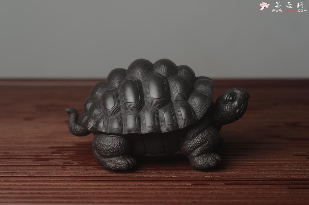 紫砂壶图片：美宠中秋特惠 精致黑料忍者寿龟 长14cm宽9.5cm高7cm - 美壶网