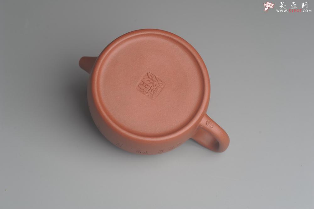 紫砂壶图片：美壶特惠 优质清水泥精致枯枝鸟德中壶 矿物质丰富 茶人醉爱 - 美壶网