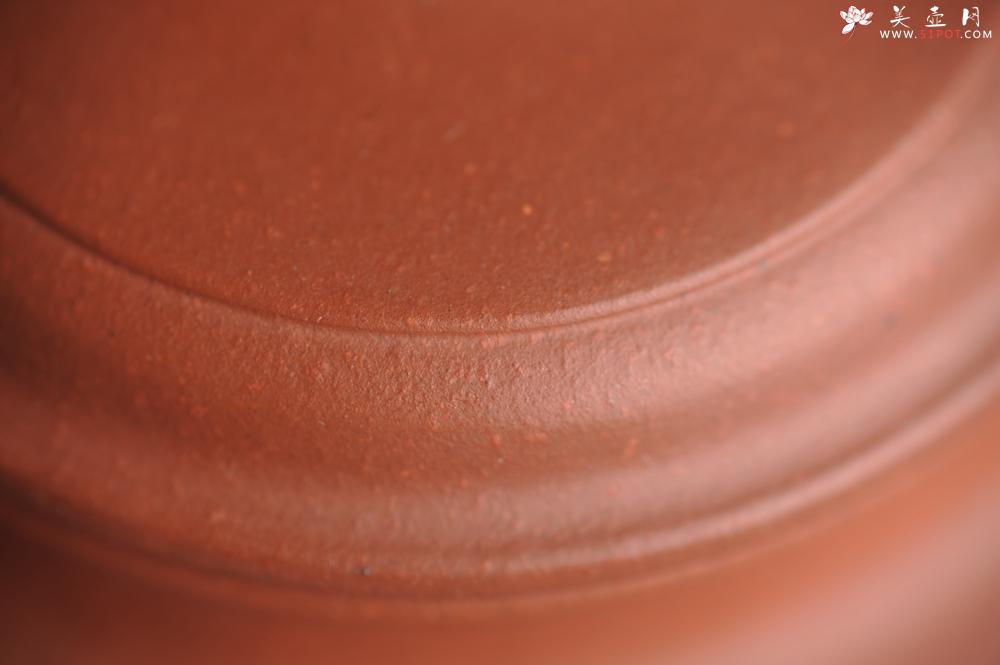 紫砂壶图片：美壶特惠 优质清水泥精致枯枝鸟德中壶 矿物质丰富 茶人醉爱 - 美壶网