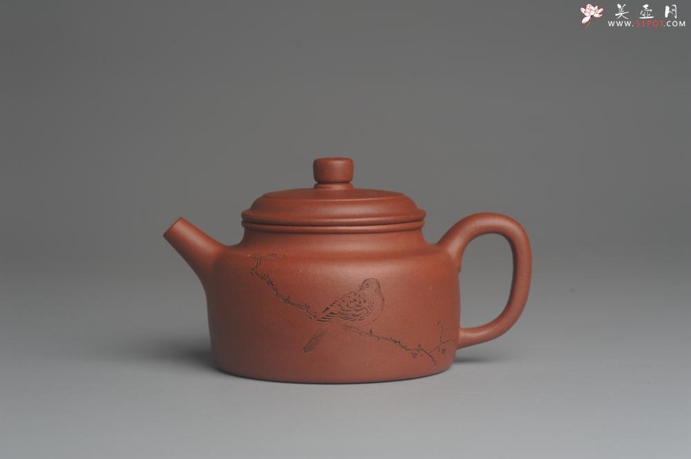 紫砂壶图片：美壶特惠 优质清水泥精致枯枝鸟德中壶 矿物质丰富 茶人醉爱 - 美壶网