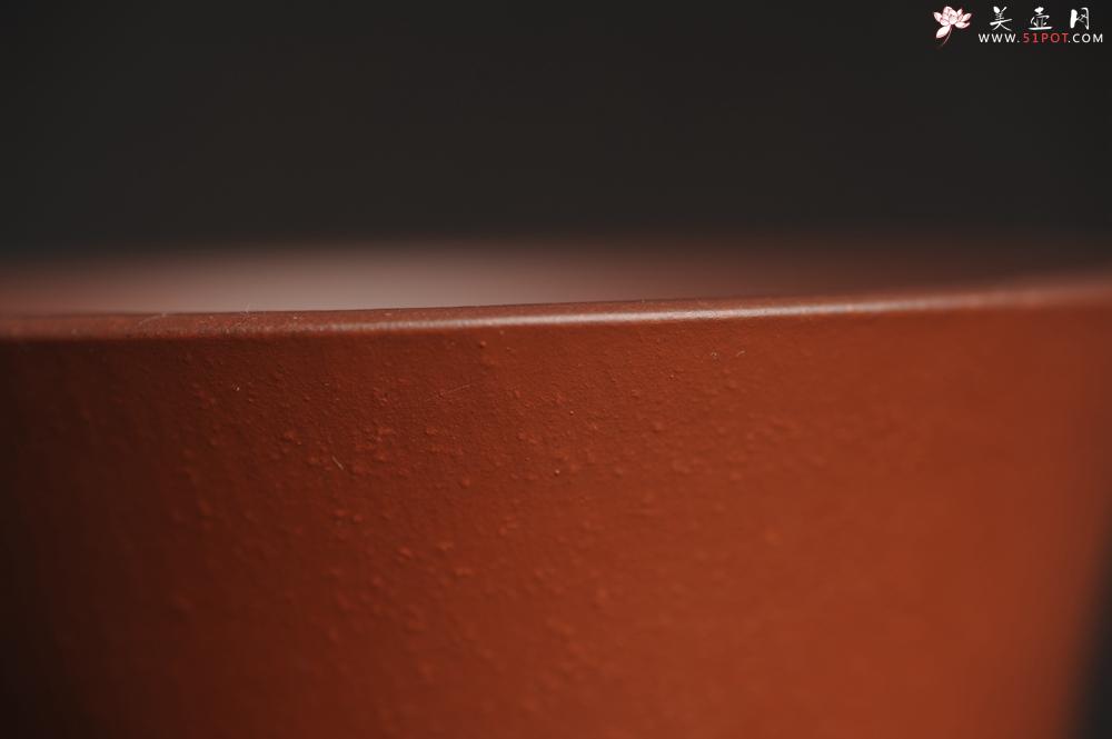 紫砂壶图片：美杯特惠 好泥好工雅致特厚实主人杯 - 美壶网