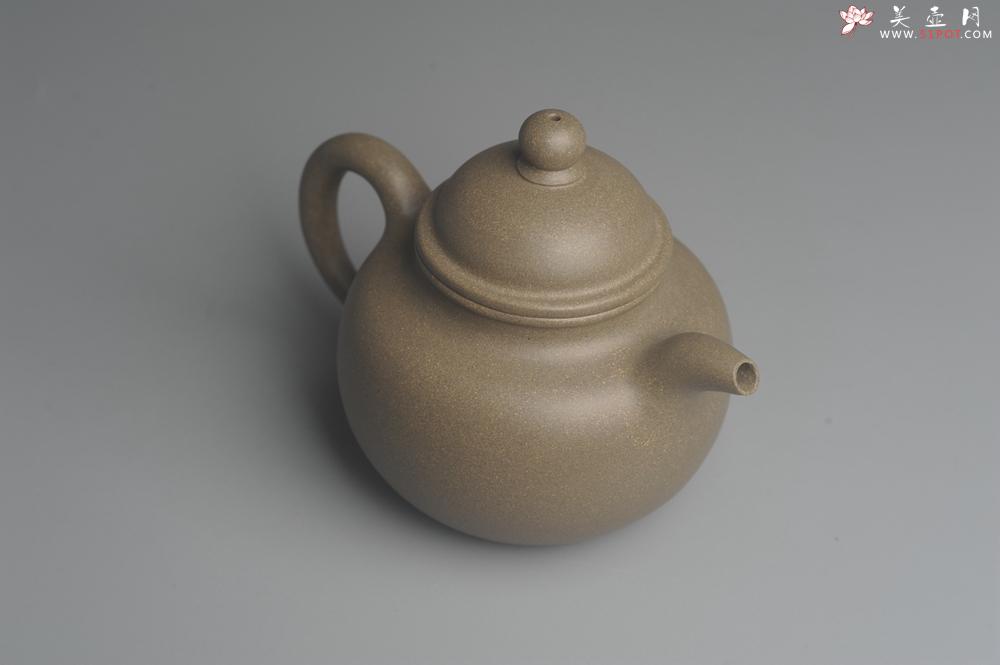 紫砂壶图片：美壶特惠 精致青段寿珍掇球茶壶 性价比高 茶人醉爱 - 美壶网