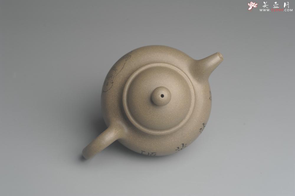 紫砂壶图片：美壶特惠 优质青段精致寿珍掇球壶 茶人醉爱 - 美壶网