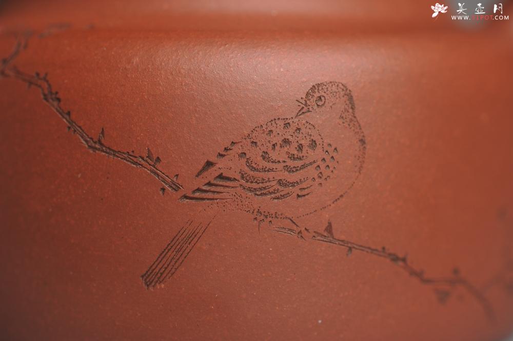 紫砂壶图片：美壶特惠 优质清水泥精致枯枝鸟德中壶 矿物质丰富 茶人醉爱 - 美壶网