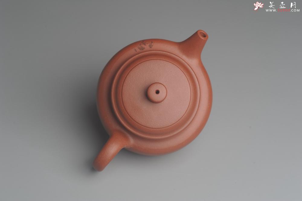 紫砂壶图片：美壶特惠 优质清水泥精致枯枝鸟德中壶 矿物质丰富 茶人醉爱 - 美壶网