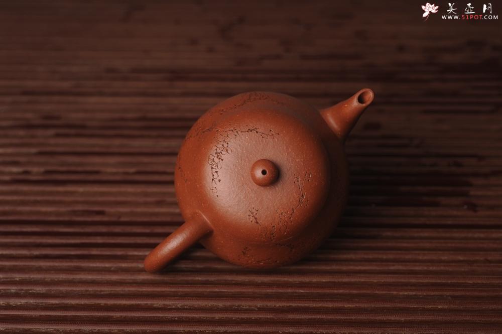 紫砂壶图片：潜力股周小培原创全手工缘德壶 通转梅花 特文气 - 美壶网