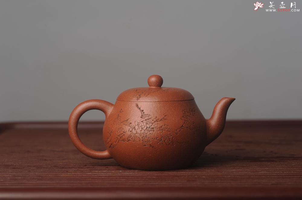 紫砂壶图片：潜力股周小培原创全手工缘德壶 通转梅花 特文气 - 美壶网