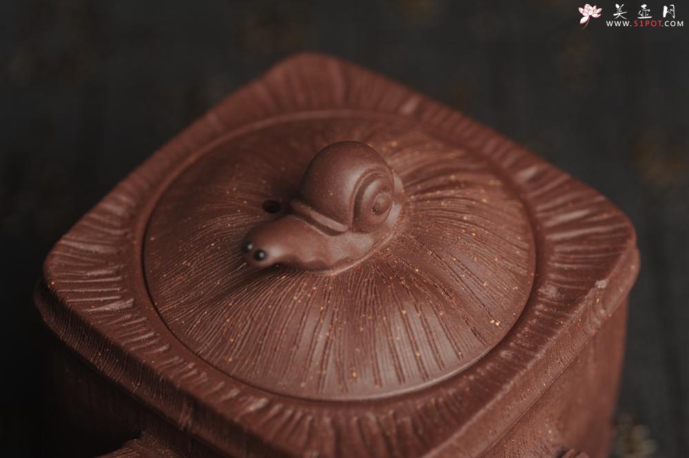 紫砂壶图片：美壶特惠 精致蜗牛四方竹唐羽壶 茶人醉爱 - 美壶网