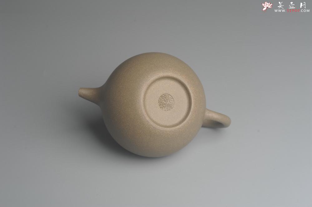 紫砂壶图片：美壶特惠 精致青段寿珍掇球茶壶 性价比高 茶人醉爱 - 美壶网