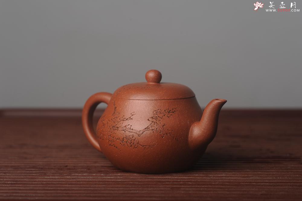紫砂壶图片：潜力股周小培原创全手工缘德壶 通转梅花 特文气 - 美壶网