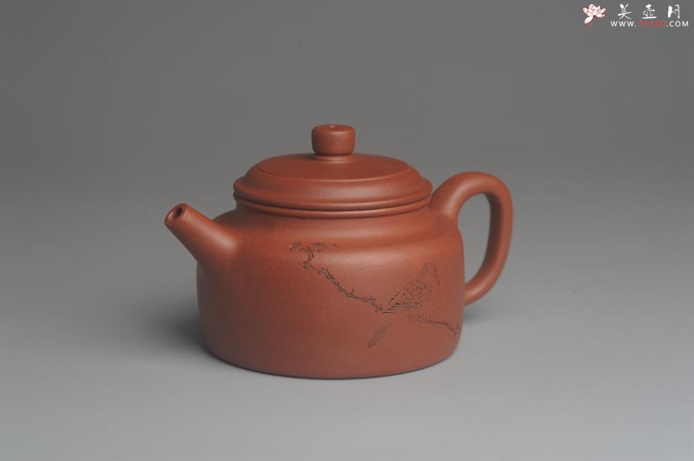 紫砂壶图片：美壶特惠 优质清水泥精致枯枝鸟德中壶 矿物质丰富 茶人醉爱 - 美壶网
