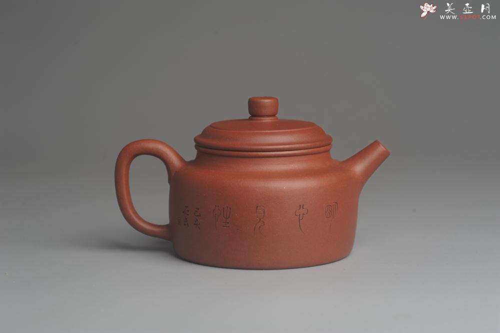 紫砂壶图片：美壶特惠 优质清水泥精致枯枝鸟德中壶 矿物质丰富 茶人醉爱 - 美壶网