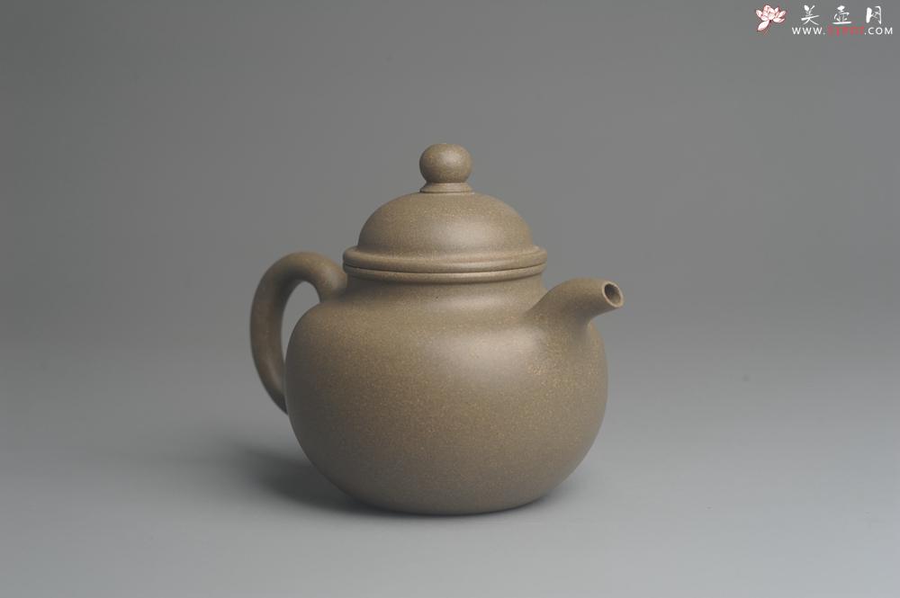 紫砂壶图片：美壶特惠 精致青段寿珍掇球茶壶 性价比高 茶人醉爱 - 美壶网