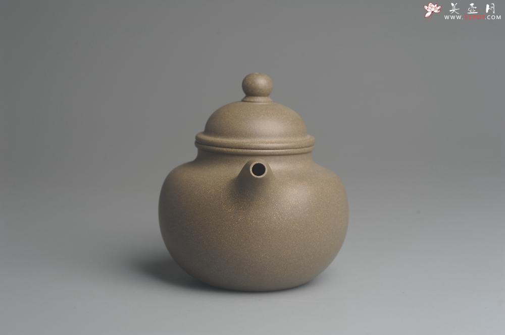 紫砂壶图片：美壶特惠 精致青段寿珍掇球茶壶 性价比高 茶人醉爱 - 美壶网