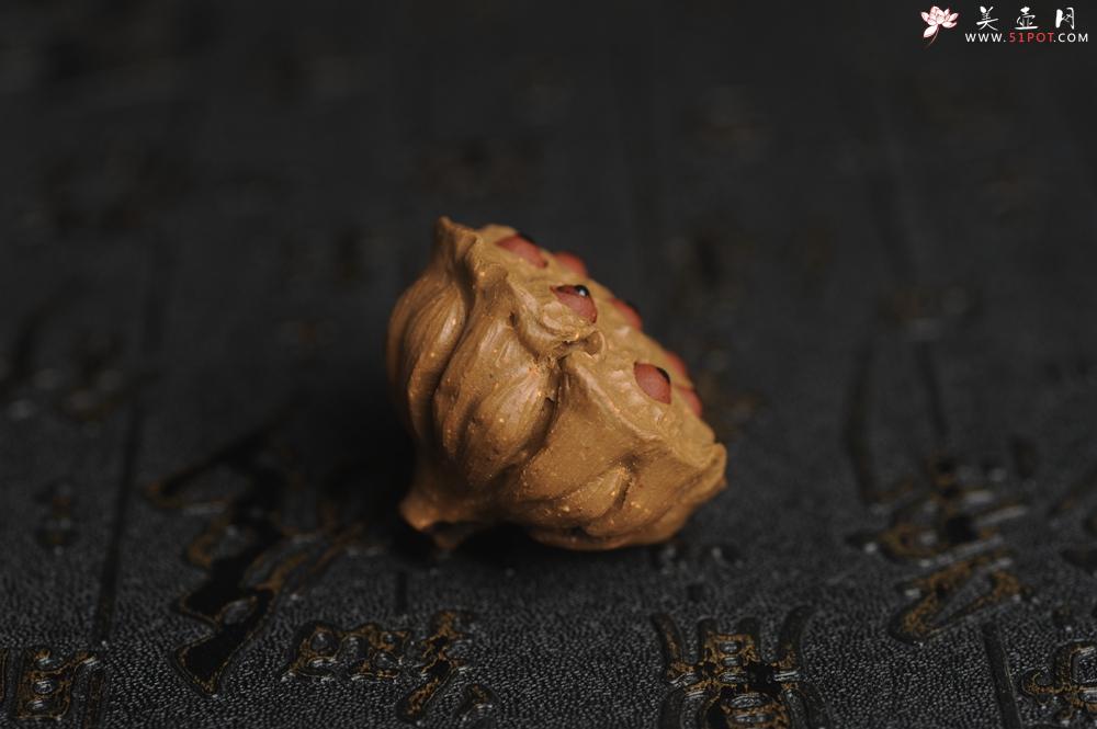 紫砂壶图片：美宠特惠 精致迷你紫砂小莲蓬茶宠摆件 莲子可动有趣 直径3.8cm高2.8cm左右 - 美壶网