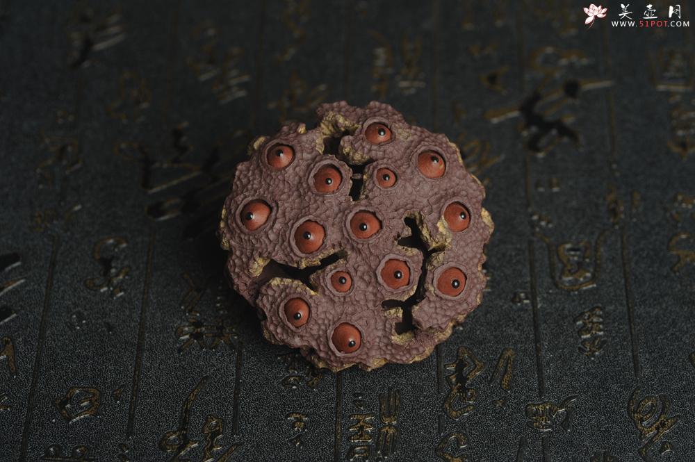 紫砂壶图片：美宠特惠 精致莲蓬茶宠摆件 直径7.5cm 茶盘尤物 - 美壶网