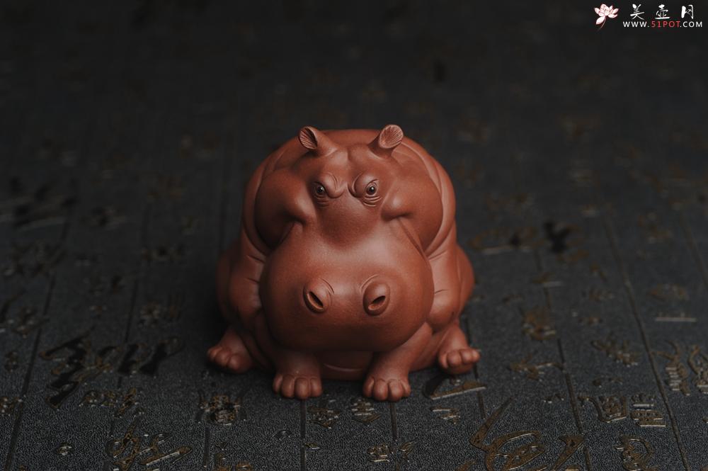 紫砂壶图片：美宠特惠 精品优质紫泥财大气粗 河马 紫砂茶宠摆件 长11cm宽8cm高8cm - 美壶网