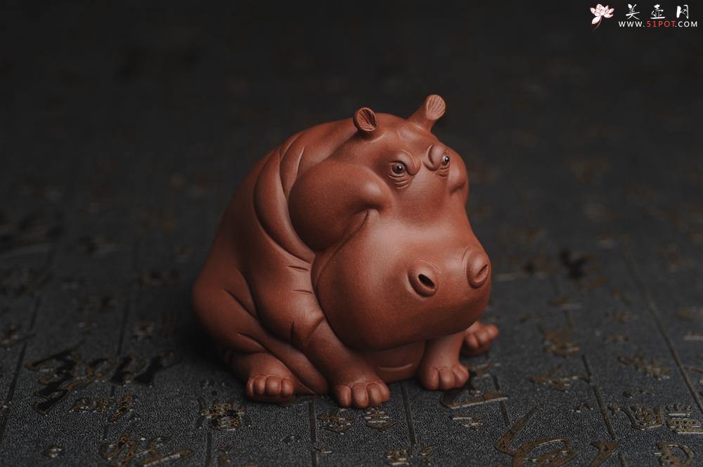 紫砂壶图片：美宠特惠 精品优质紫泥财大气粗 河马 紫砂茶宠摆件 长11cm宽8cm高8cm - 美壶网