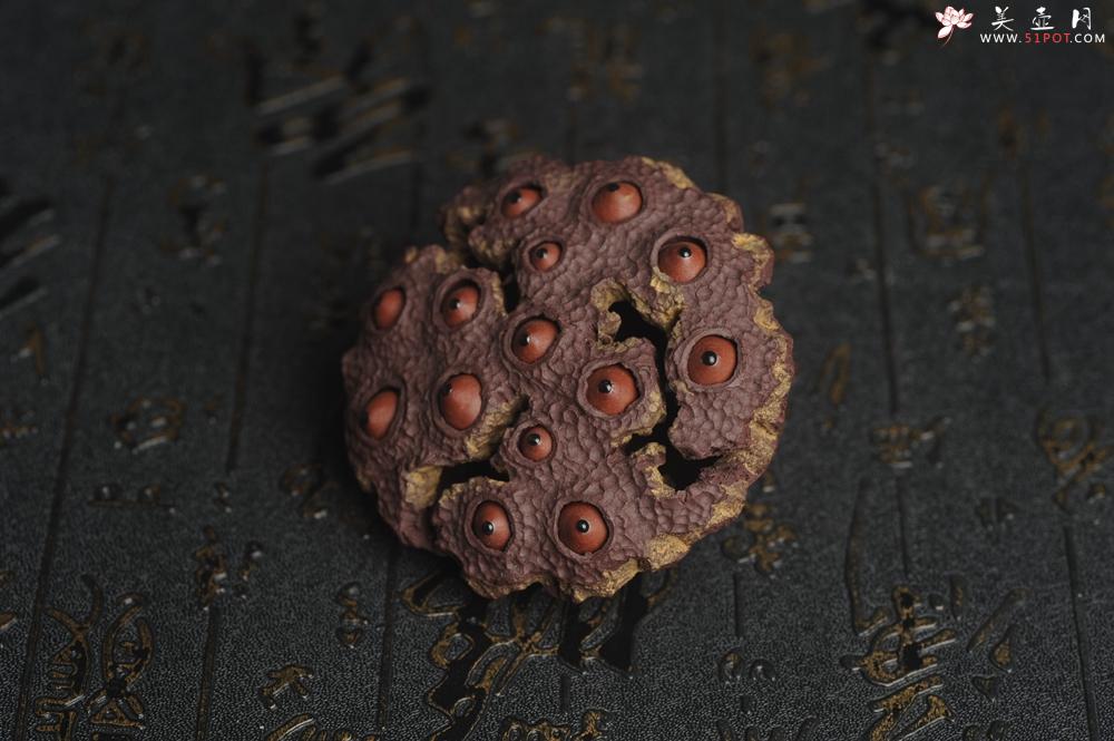 紫砂壶图片：美宠特惠 精致莲蓬茶宠摆件 直径7.5cm 茶盘尤物 - 美壶网