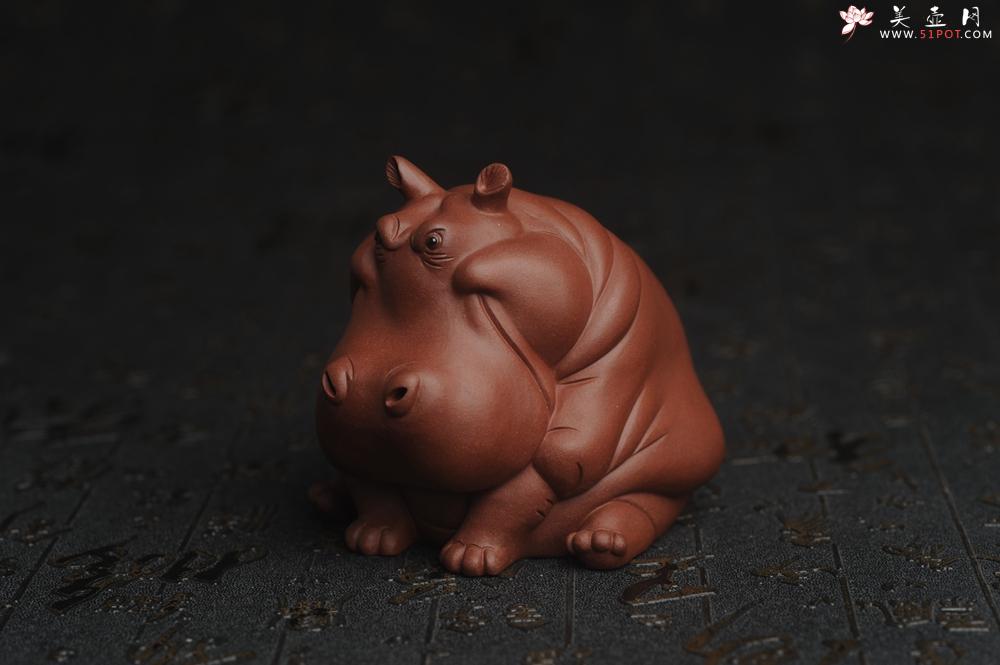 紫砂壶图片：美宠特惠 精品优质紫泥财大气粗 河马 紫砂茶宠摆件 长11cm宽8cm高8cm - 美壶网